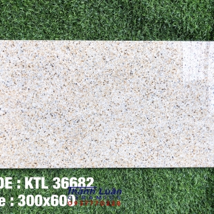 gạch 30x60 giả đá hoa cương vàng 