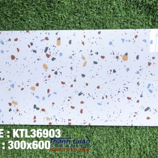 Gạch trang trí 30x60 hoa cương sắc màu nhập khẩu 