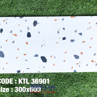 Gạch trang trí 30x60 trắng hoa cương nhập khẩu cao cấp