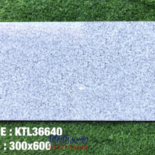 Gạch nhập khẩu 30x60 hoa cương trắng cao cấp