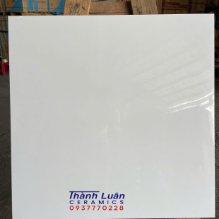 Gạch lát nền 80x80 trắng trơn Việt Nam