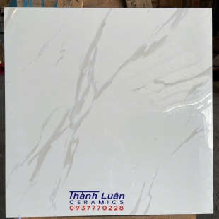 Gạch 80x80 nhập khẩu giá rẻ