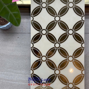 Gạch bông trang trí 30x60