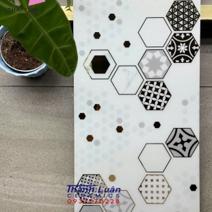 Gạch trang trí cao cấp 30x60
