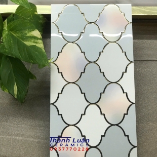 Gạch ốp tường 30x60 nhập khẩu mẫu mới nhất thị trường