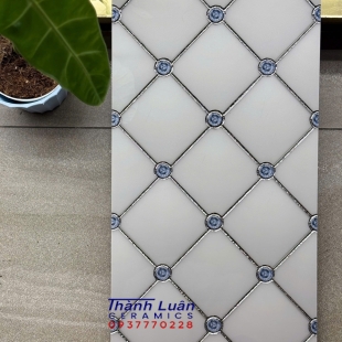 Gạch trang trí 30x60 trắng khắc kim bạc nhập khẩu 