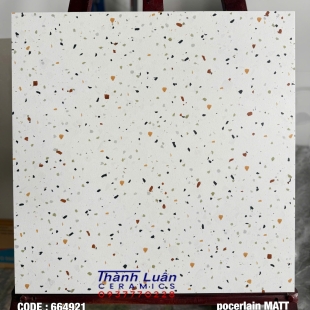 Gạch 60x60 Porcelain giả vân đá terrazzo 