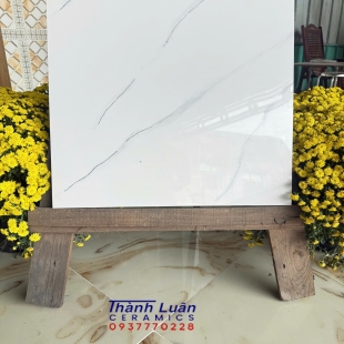 Gạch 60x60 trắng khắc kim nhập khẩu vân bất qui tấc